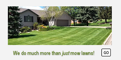We do more than just mow lawns! Pagel's Lawn Care Services