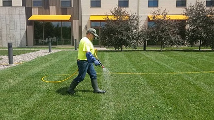 Lawn Spraying