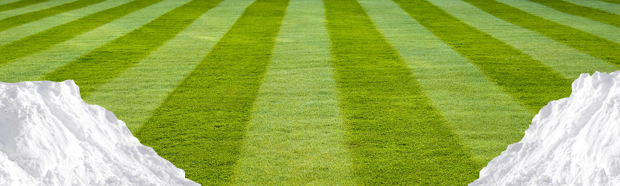 p-grass-top-2000×600